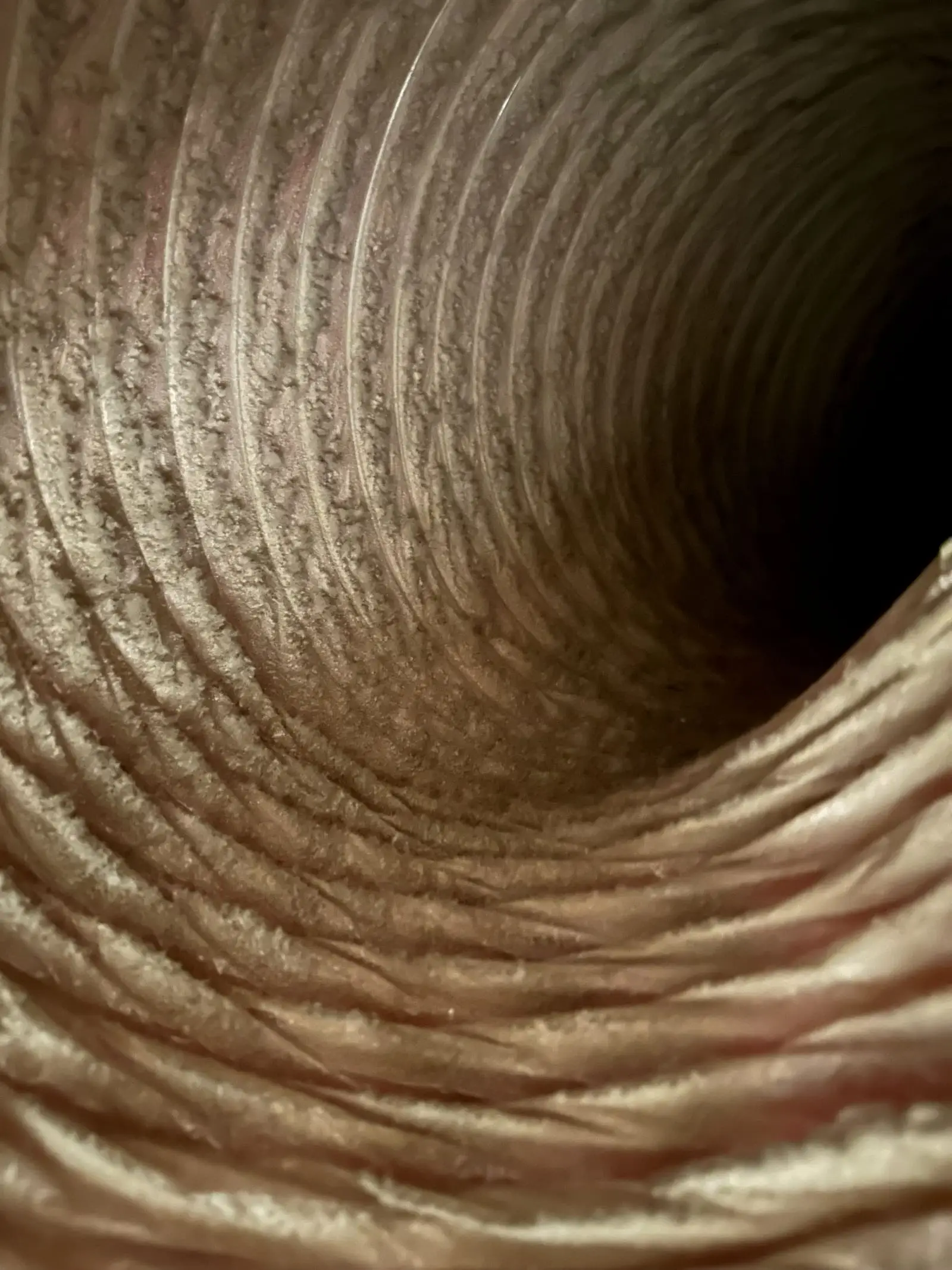 Inside a flexible air duct showing a layer of dust and debris built up along the ribbing