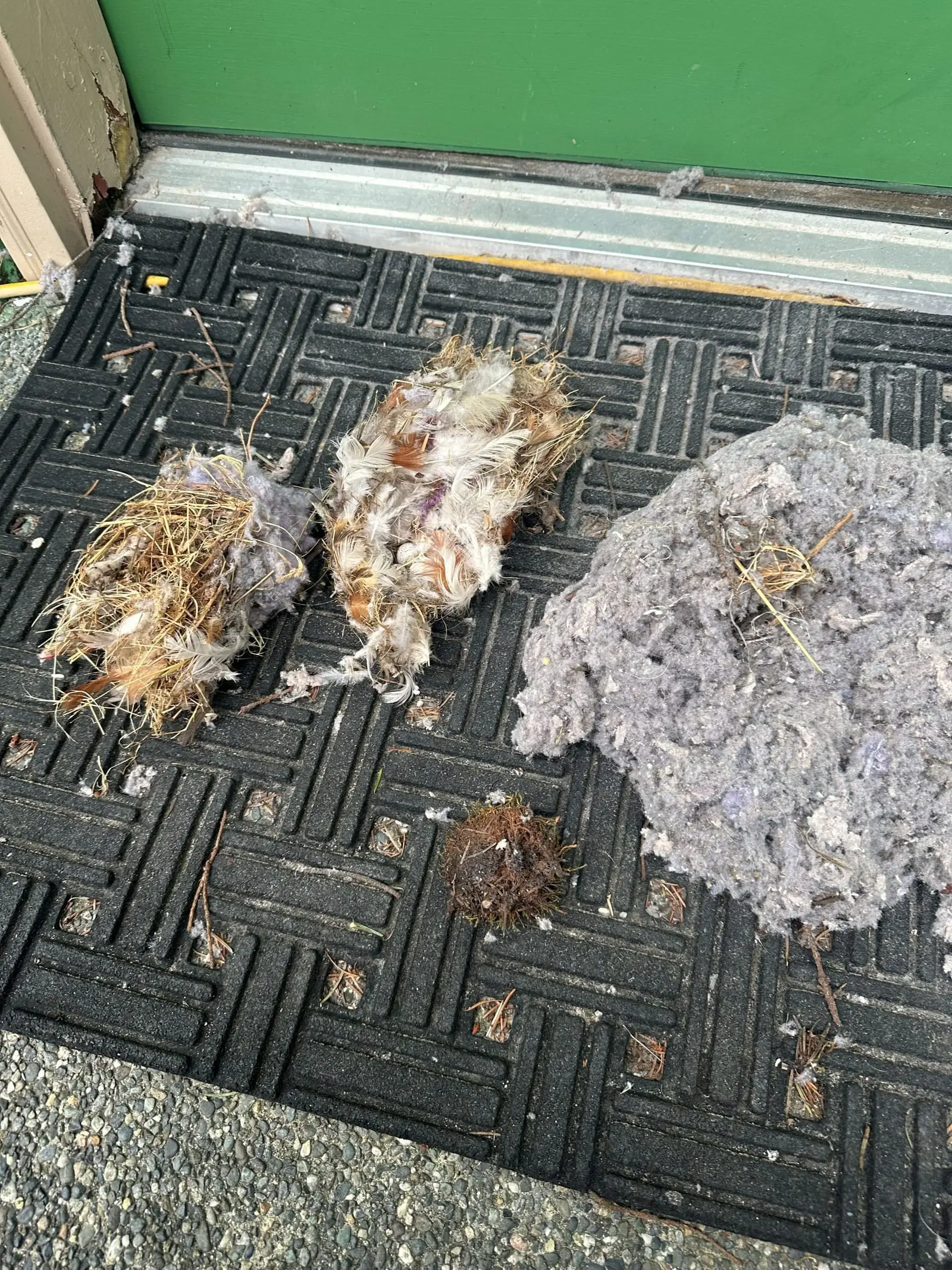 A bird nest and two large clumps of lint removed from a blocked dryer vent, laid out on a doormat